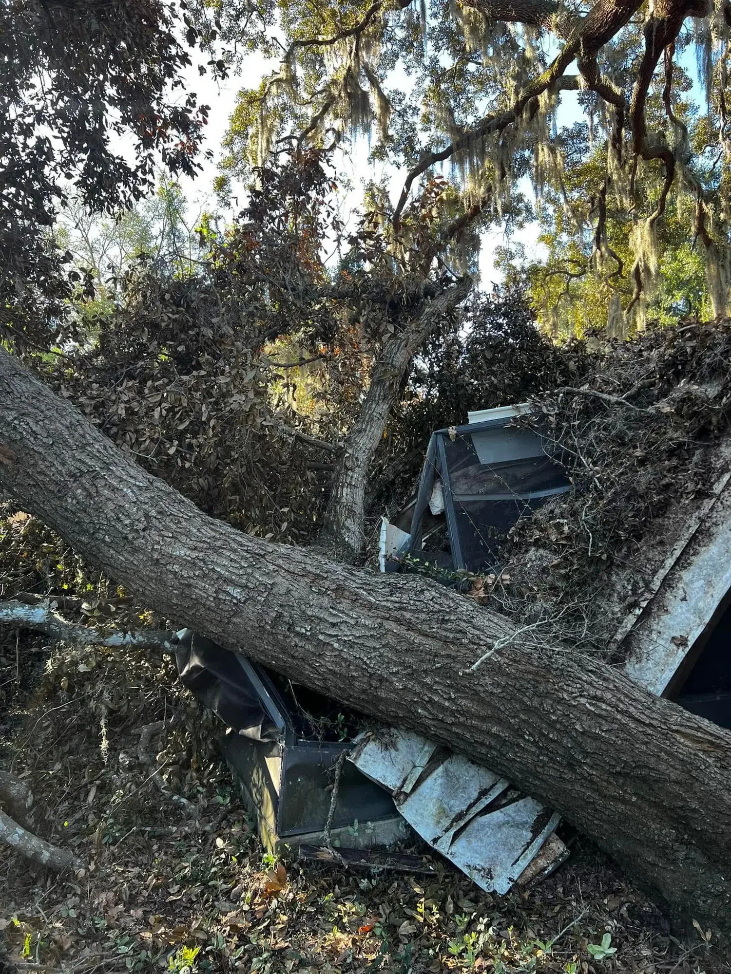 Hurricane & Storm Cleanup