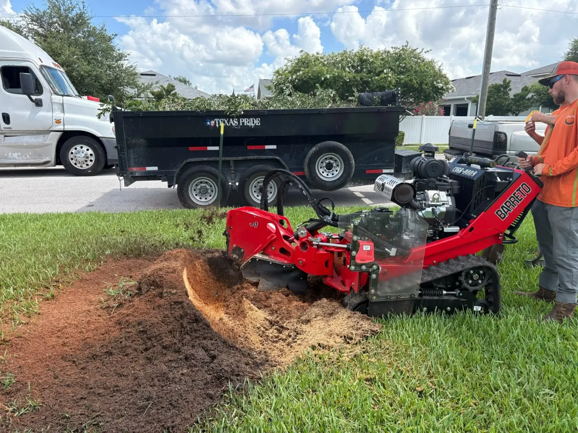 Stump Grinding